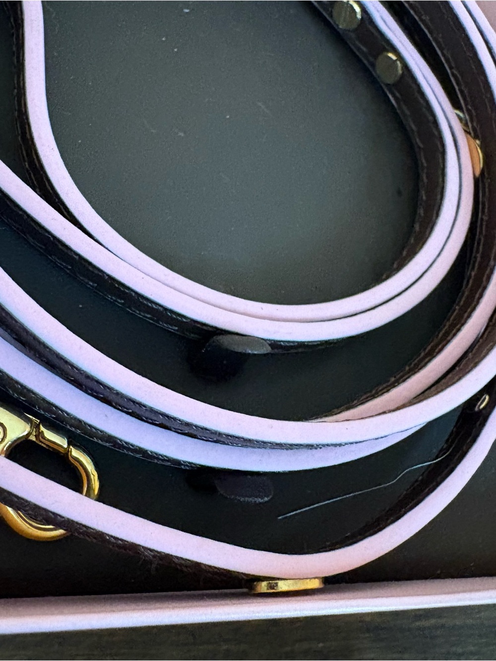 Juicy Couture Pink Black Dog Collar & Leash Set Gold Hardware w/ Box - Picture 3 of 7